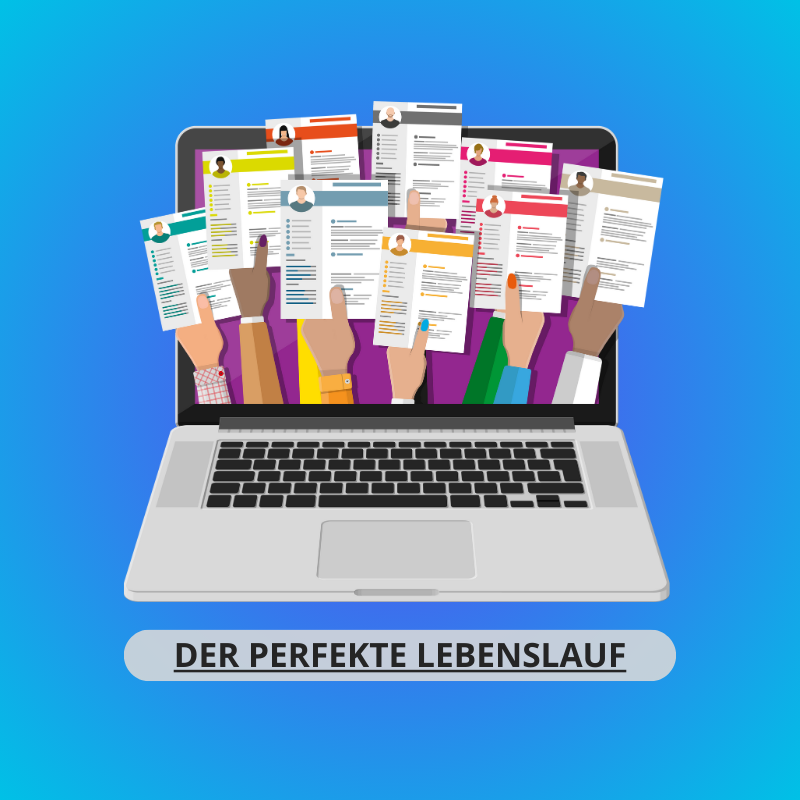 derperfektelebenslauf